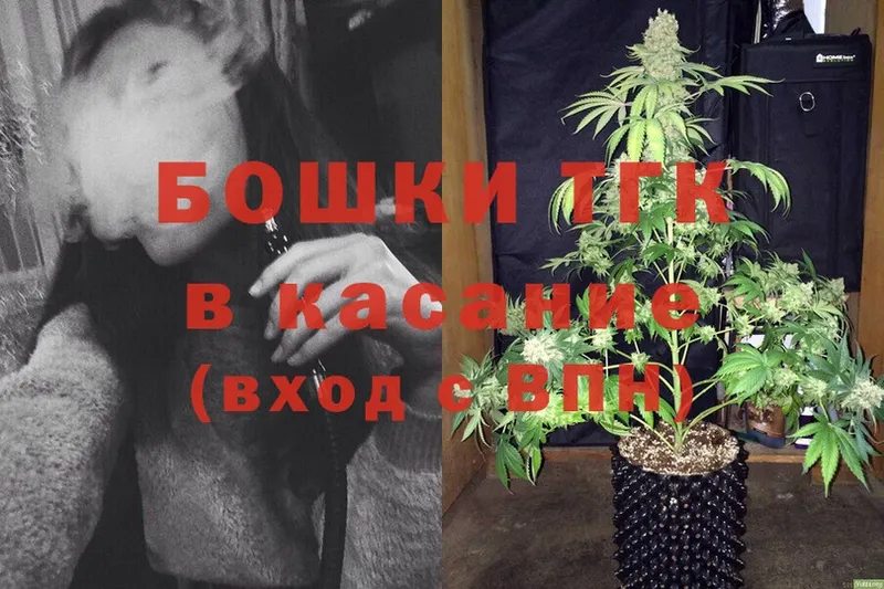 купить   Пущино  Бошки Шишки OG Kush 